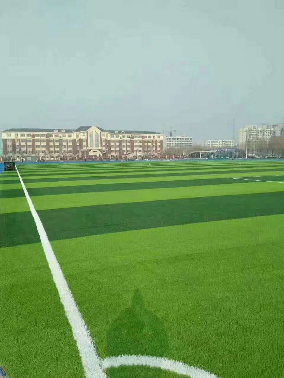 十堰市预制型跑道仿真草坪 - 推荐